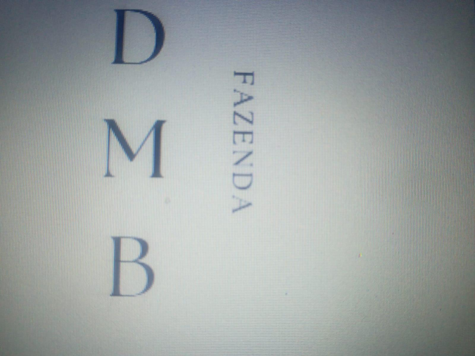 Logo de FAZENDA DMB SILVA 