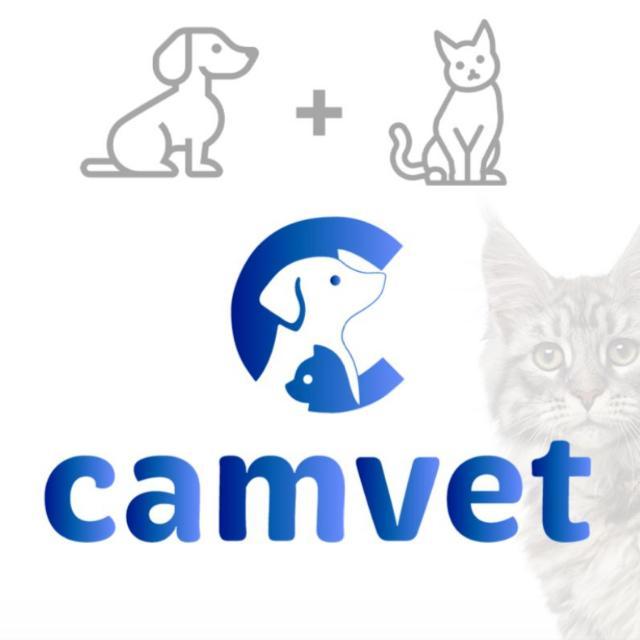Logo de CAMVET