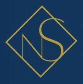 Logo de NS CONSULTORIA, CONTABILIDADE E GESTAO LTDA.