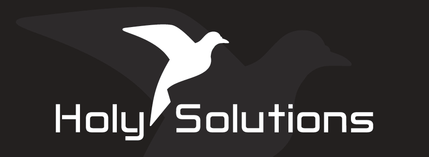 Logo de HOLY SOLUTIONS