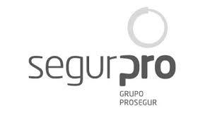 Logo de SEGURPRO VIGILANCIA PATRIMONIAL S/A