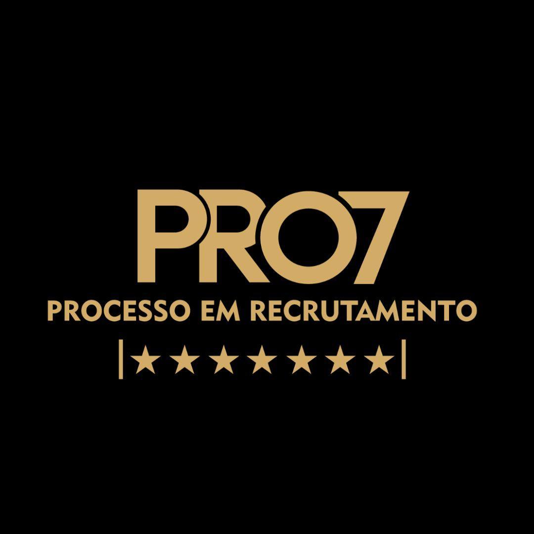Logo de PRO7 RECRUTAMENTO E SELECAO LTDA