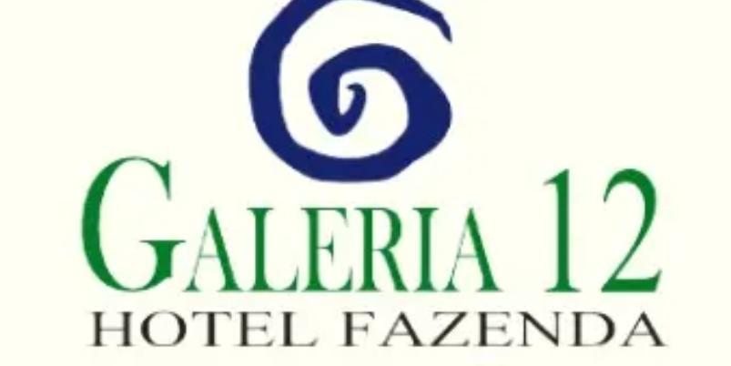 Logo de Galeria 12