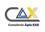 Logo de CONSORCIO APIA EXE